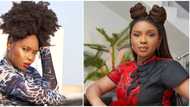 I need to move on with my life - Fan tells Yemi Alade after singer says universities shouldn't open due to COVID-19