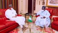 Tinubu: What I told Buhari in Aso Rock, ex-Lagos governor makes stunning revelation