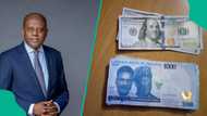 Naira gains, dollar crashes as CBN defends naira with $4.1bn investment