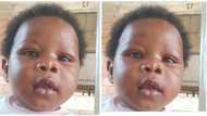 "Find Chinedu Chukwueke": Fake apprentice steals 6-months-old baby from his mother's hair-dressing saloon