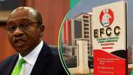 “How Emefiele’s men pressured me to pay $600,000 bribe for CBN contract”: Witness opens up