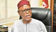 Just in: Former APC national chairman gets new appointment
