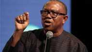 Labour Da Peter Obi Sun Gaza Biyan N1.5m Don Karɓar Takardun Da Kotu Ke Nema, INEC