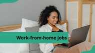 Top 20 work from home jobs in Nigeria you can do online