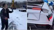 "When you have more money than brain": Man destroys Lamborghini Urus worth N115 million, video goes viral