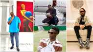 2022-in-Review: Davido, Wizkid, Don Jazzy lead top 10 richest Nigerian artists list