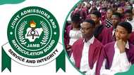 JAMB subject combination for civil engineering: Full list of requirements