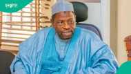Tragedy as health Agency Boss, 4 children die in fatal car crash