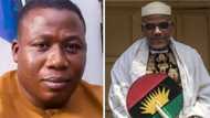 Ohanaeze, Afenifere commend FG's resolve on Kanu, Igboho, Give more advice