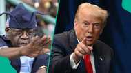 US vs Nigeria: Did Tinubu declare 'we have no fear of Trump'? Fact is out