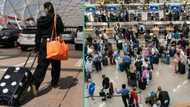 "Come without visa": Excitement in the air as several countries permit visa-free entry, video trends