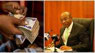 CBN Reveals Next Line of Action for Old Naira Notes After Feb 10 Deadline, Makes Promises