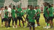 Super Eagles coach Gernot Rohr lists Musa, Osimhen, 22 others for Squirrels, Crocodiles