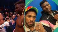 "Don't leave boxing": Anthony Joshua says to Francis Ngannou after knocking him out, clip trends