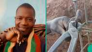 Construction worker posts chilling video of what was found underground, people react: "Nawa"