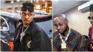 I lived with Davido for 3 years: Mayorkun spills in interview, says he hopes to collaborate with Drake, Eminem