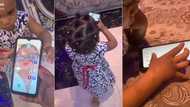 Little girl, 1, takes mother's phone, heads straight to YouTube to play Baby Shark video, people react