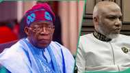2027: Ohanaeze endorses Tinubu for second term amid northern opposition, makes key demand