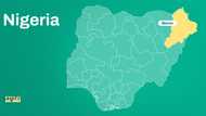 Nigerian troops kill Boko Haram commander, Malam Jidda, others, shares photos
