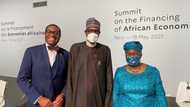 African summit in Paris postponed? Buhari's aide open up