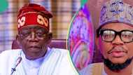 Prominent APC chieftain speaks amid Tinubu’s CSU certificate saga