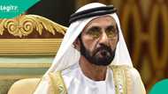 Over 73,000 issued: Dubai announces entry visa requirement for foreigners from select countries