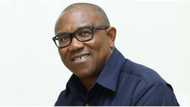 What I will do if war breaks out in Nigeria, Peter Obi shares stunning details