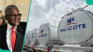 Full list: Dangote Refinery expands free petrol delivery, adds 4 more states