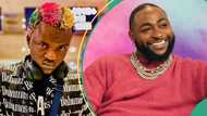 Davido vs Portable: "Audiomack king," Zazu shows evidence to prove he doesn't need OBO, others