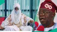 Sanusi to Tinubu: "You’ve filled one hole only to dig another"