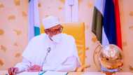 Imo visit: Presidency speaks on rumoured disagreement between Buhari and Uzodimma