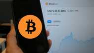 Political support leading to increasing fallout for crypto