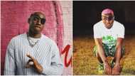 "I'm grateful": Reactions trail Ruger's post as he appreciates his fans for keeping Asiwaju at No1 for a month