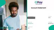 Opay account statement displayed by Nigerian man shows he spent N2 million in 2024