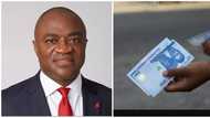 UBA CEO Speaks on New Naira Notes Benefits, Scarcity as Nigerians Get Desperate