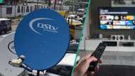 MultiChoice to remove popular channel from DStv after 13 years