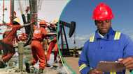 Apply with the link: Nigeria's biggest oil company announces job vacancies, lists requirement