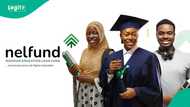 NELFUND beneficiaries struggle as N20,000 monthly upkeep stalls since June