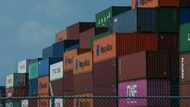 No slowdown yet: US import deluge tests supply chain