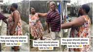 "Pls help me beg him": Man at war with his wife as she cuts her hair without his permission, video goes viral