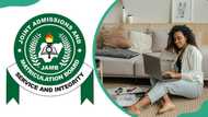 JAMB 2024: How to check and print your exam results at home