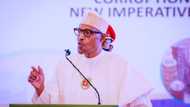 2023: Buhari reveals what comes to his mind when PDP is mentioned