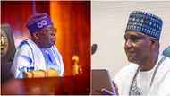 House of Reps speaker meets President Tinubu, details emerge