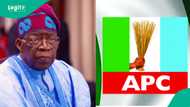 APC Reps Primaries: Tinubu, Party Leadership Urged to intervene in Ekiti