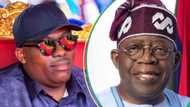 "Death sentence": Rivers elders warn Fubara against implementing Tinubu’s resolution