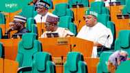 Nigerian armed forces are now nightmares to terrorists, says Reps deputy spokesperson