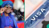 Namibia removes US, UK from its visa-free program, announces reason behind it
