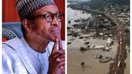 COP27 Egypt: Buhari under pressure as calls for climate policies heightens amid incessant flooding