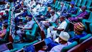 House of Reps confirms mass resignation of soldiers in Nigerian Army
