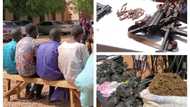 Insecurity: Police nab 16 notorious kidnappers, bandits, recover arms